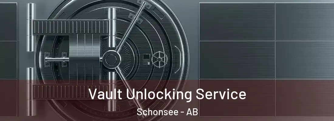  Vault Unlocking Service Schonsee - AB