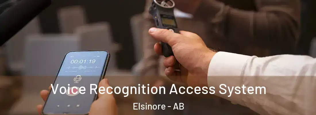  Voice Recognition Access System Elsinore - AB
