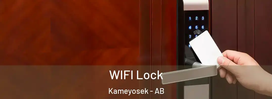  WIFI Lock Kameyosek - AB