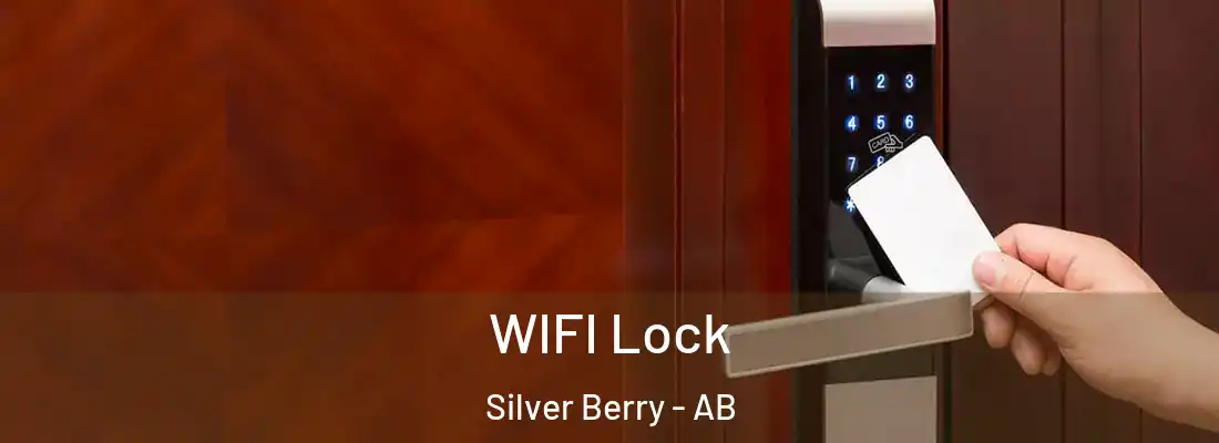  WIFI Lock Silver Berry - AB