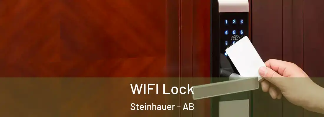  WIFI Lock Steinhauer - AB