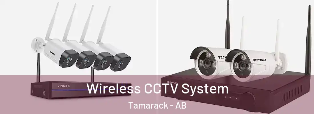  Wireless CCTV System Tamarack - AB